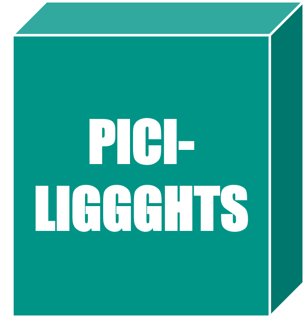 PICI-LIGGGHTS 3.8.1 インストーラ